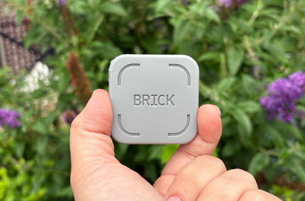 a Brick held between thumb and forefinger