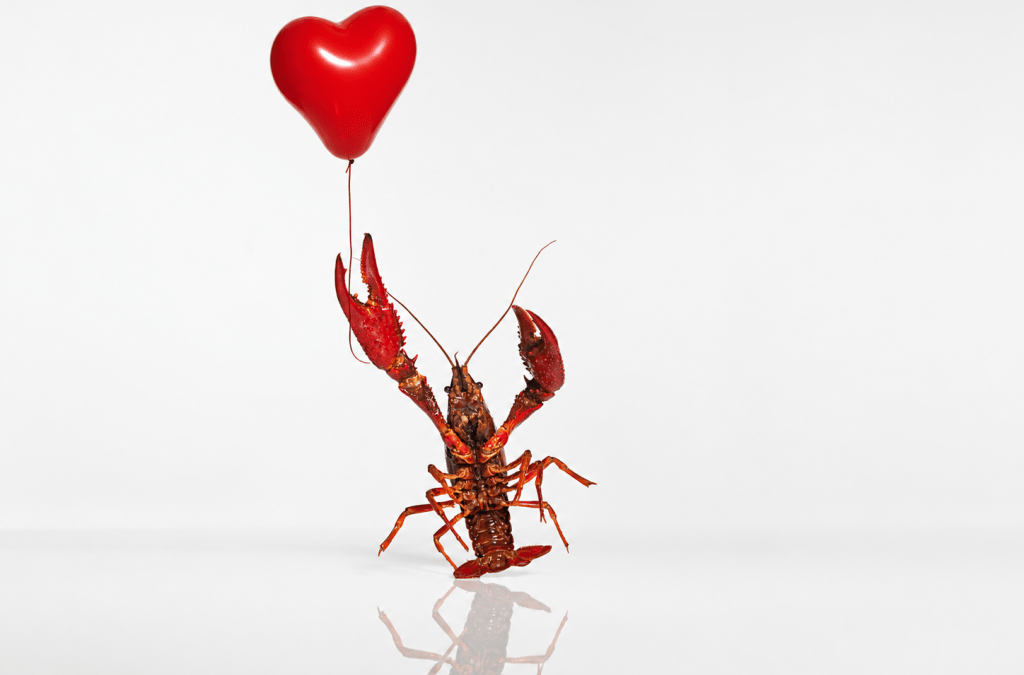lobster holding heart-shaped balloon