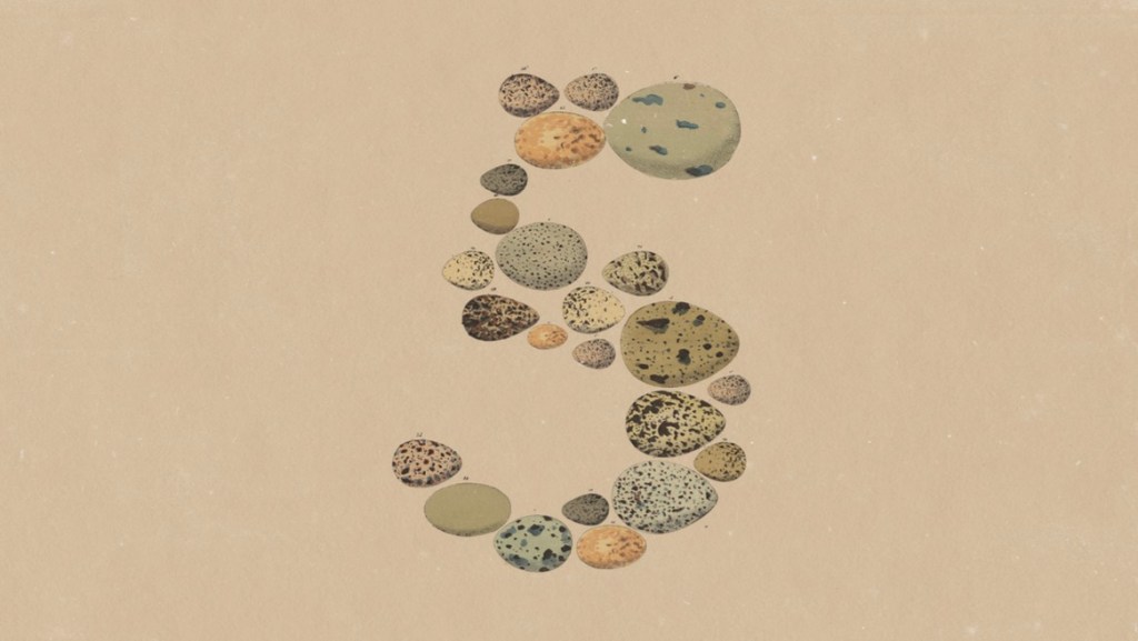 The numeral 5, spelled out with discrete stones