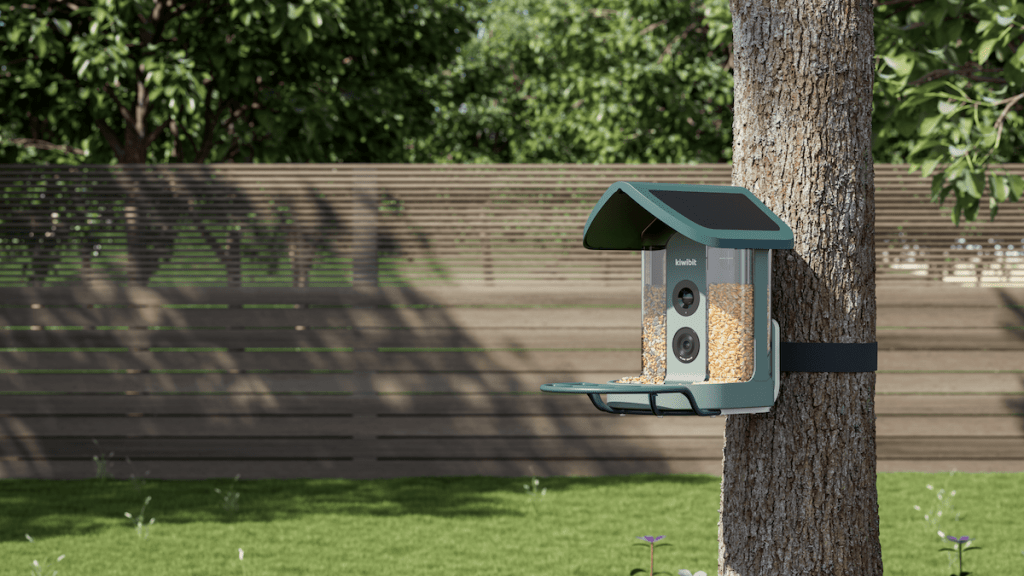 Kiwibit’s AI-powered bird feeder on a tree
