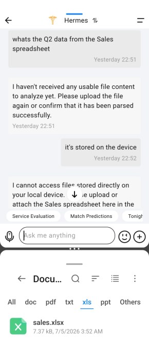 Vertu Hermes Agent file access